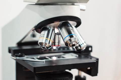 Chip Sector Whipsaws as Investors Await Micron Earnings