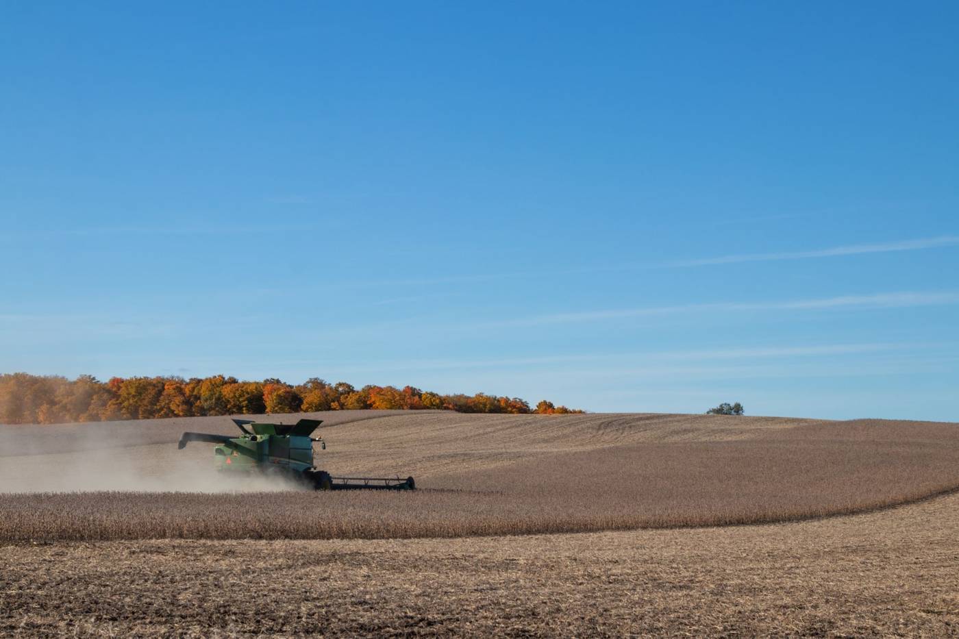 Soybean farm harvest